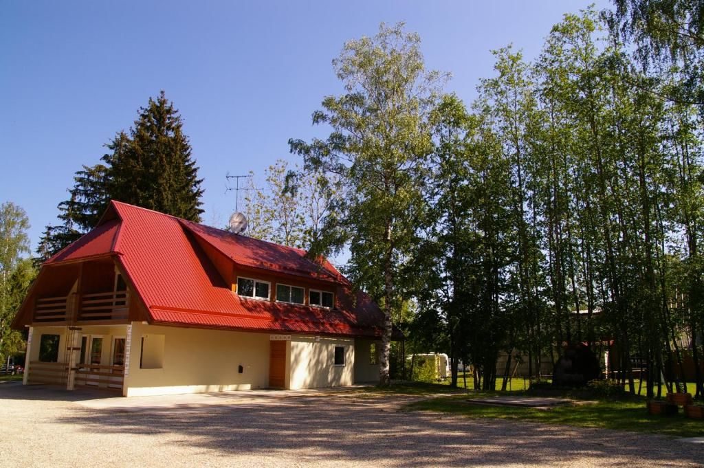 Мини-отель Waide Motel Элва-36